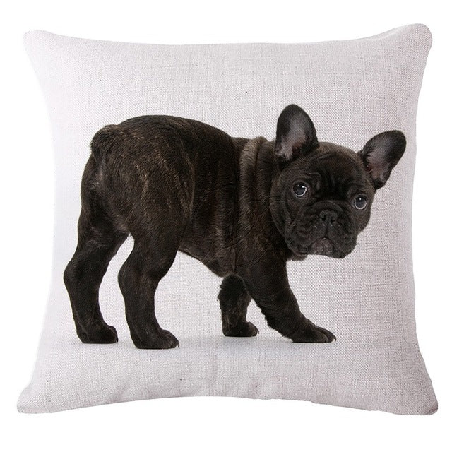 Pug Cushions