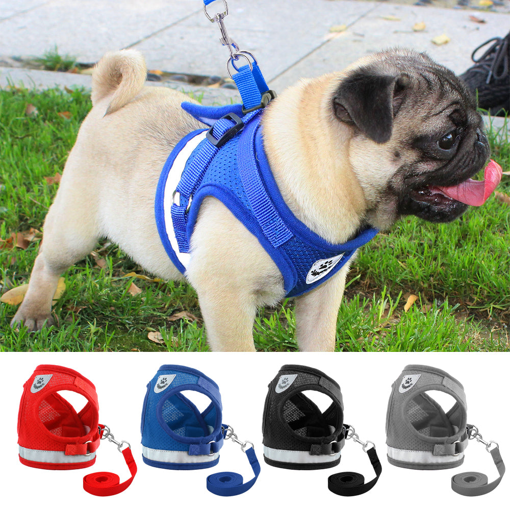 Dog Harness