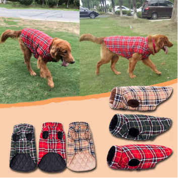 Dog Clothing